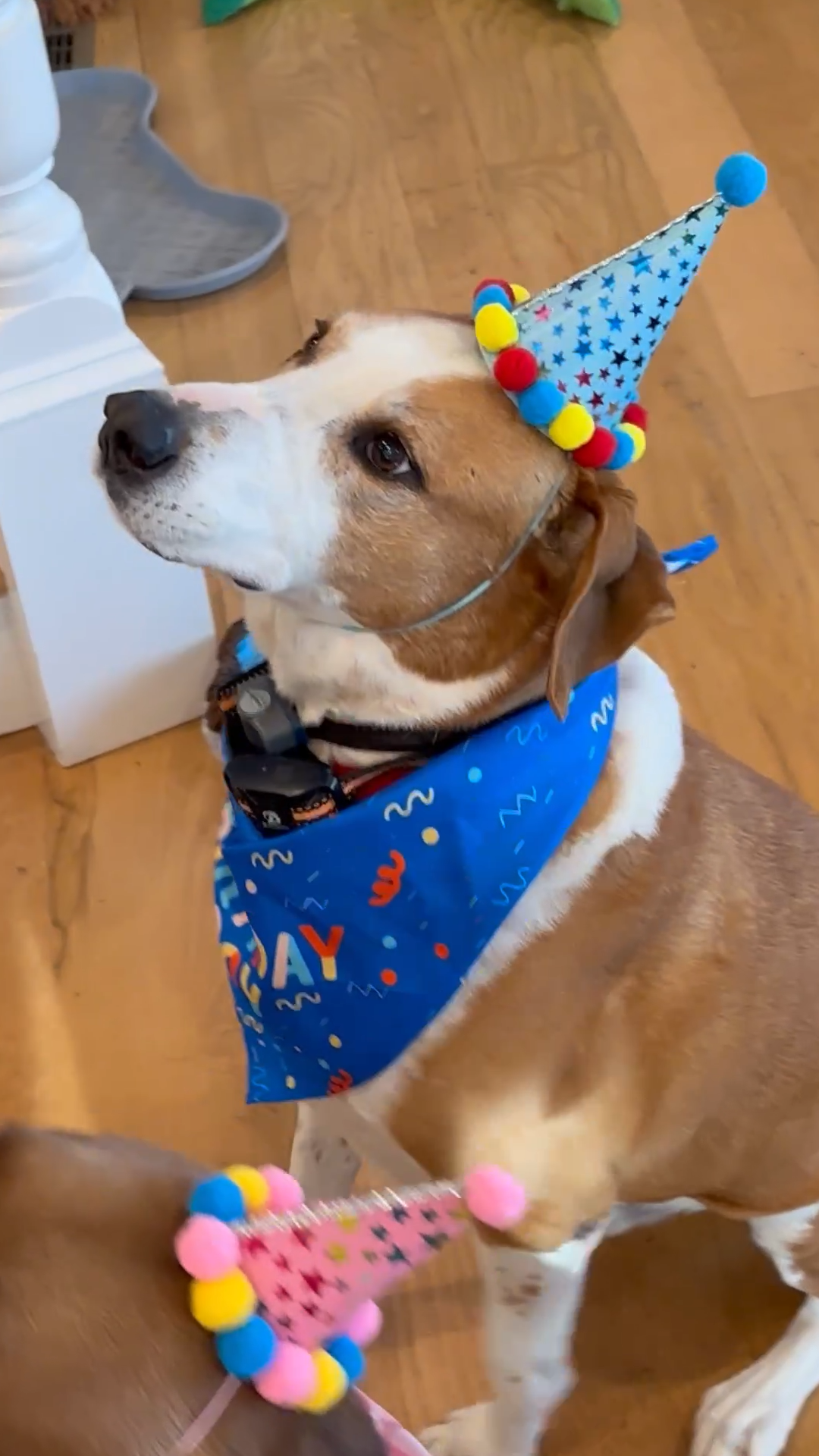 My Baby Beau Turns 10