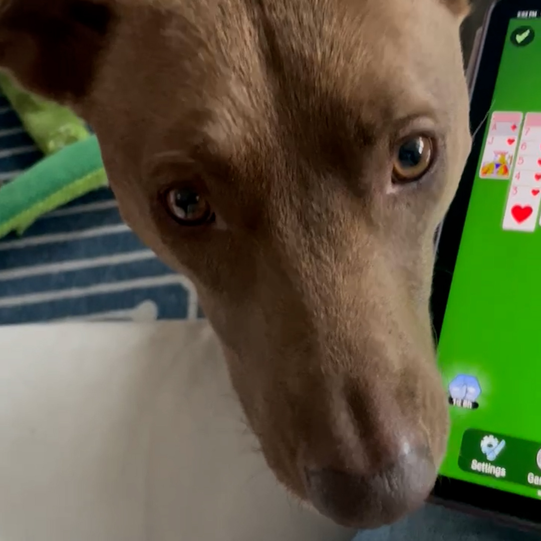 Morning Madness: Brandy’s Hilarious Start to the Day