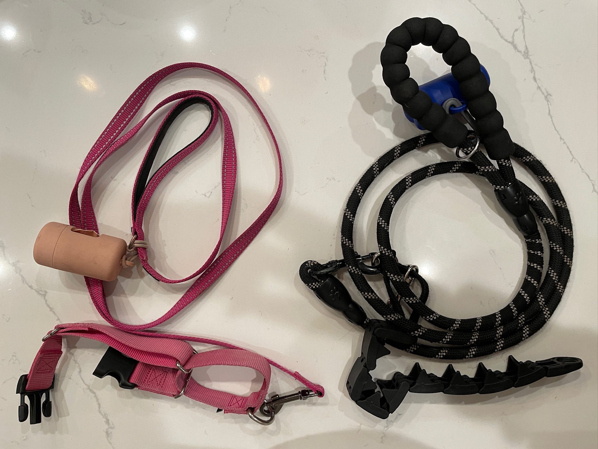 What Type of Leash Is Best for Your Dog? Comparing 5 Different Leashes